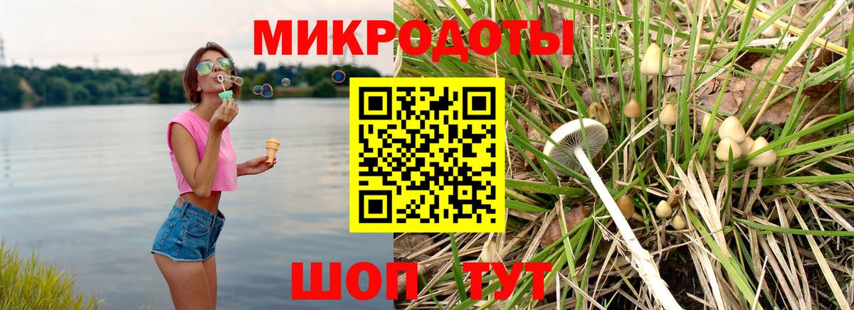 Псилоцибиновые грибы прущие грибы  Галлюциногенные грибы Psilocybine cubensis  Иркутск  Вход с VPN 